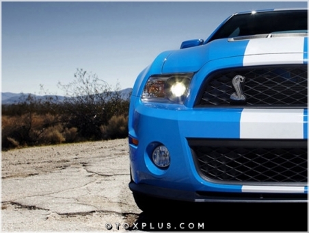 Ford Shelby Cobra Ön Izgara Logo Amblem