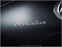 Porsche executive Logo Amblem Seti
