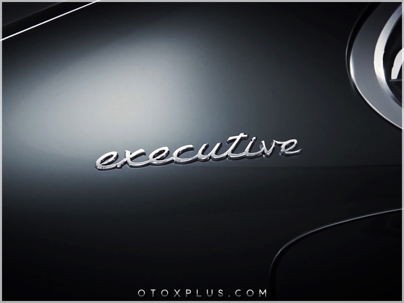 Porsche executive Logo Amblem Seti